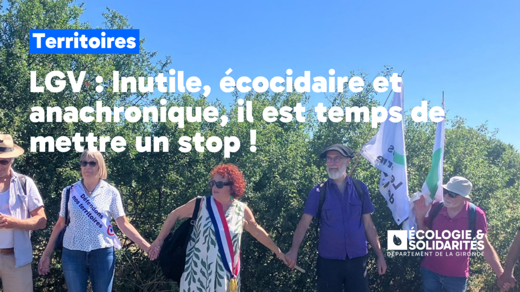 Vignettes Thématiques - Site Web (Encart)
