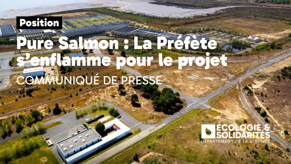 Vignettes - Site Web